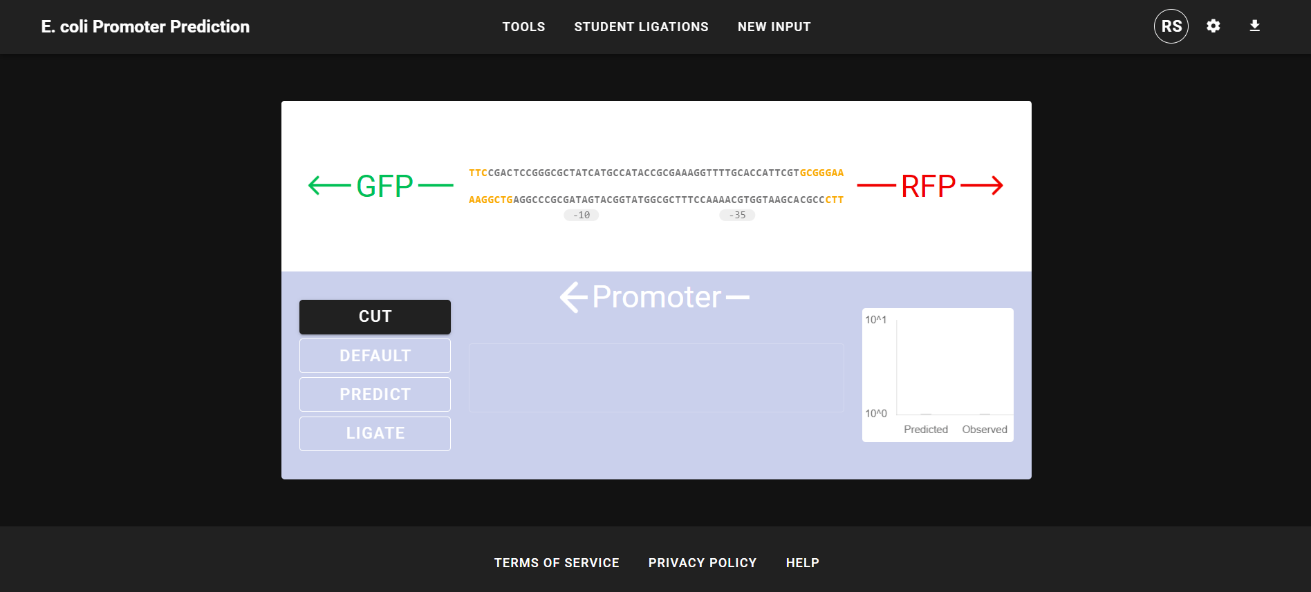 Promoter Prediction GUI